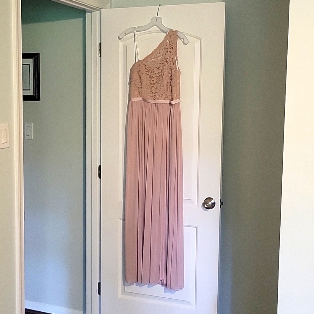 David's Bridal Long One Shoulder Lace bridesmaid dress, size 4, blush (cameo)